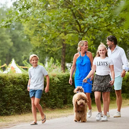 Forest 6 Persons #439 Holiday home Maasbree